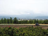 ファーム富田